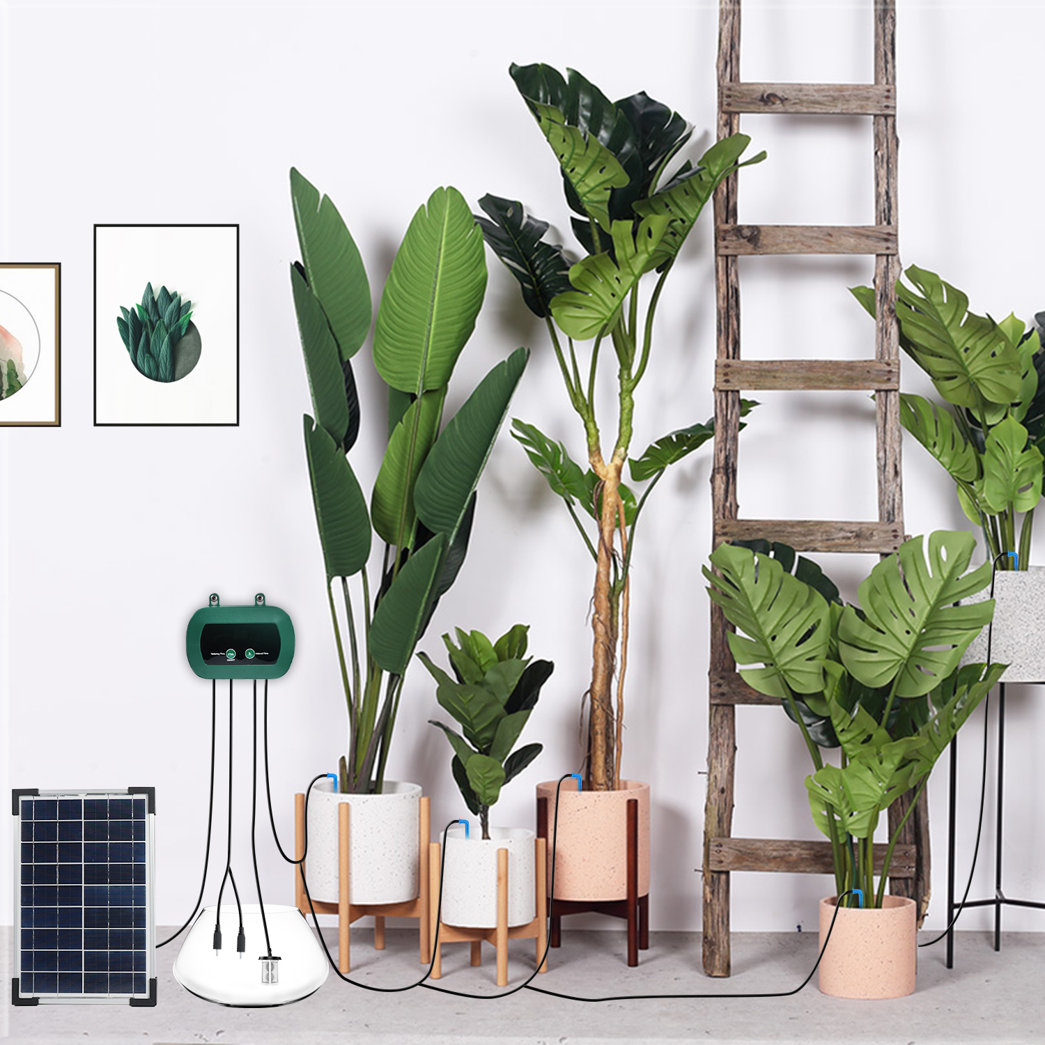 Solar Hydroponics Equipment  M - Smart Garden recensie en prijs