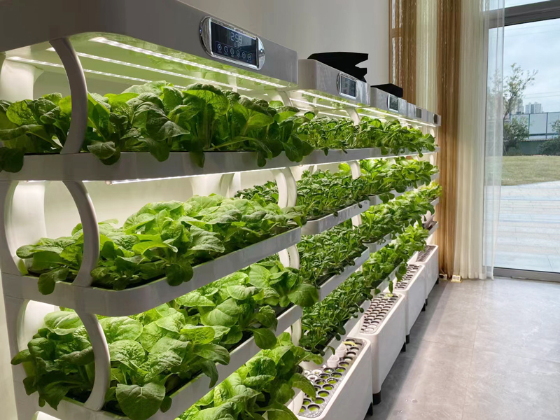 Indoor Small Home Garden Plant - Smart Garden Vertical Planter recensie en prijs