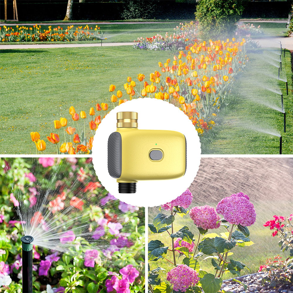 Wholesale Smart Digital  Water - Smart Garden recensie en prijs